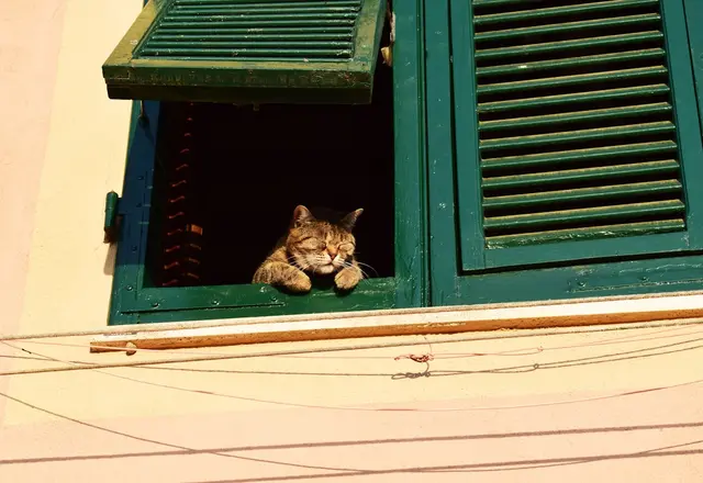 Malla para gatos en balcón protegido